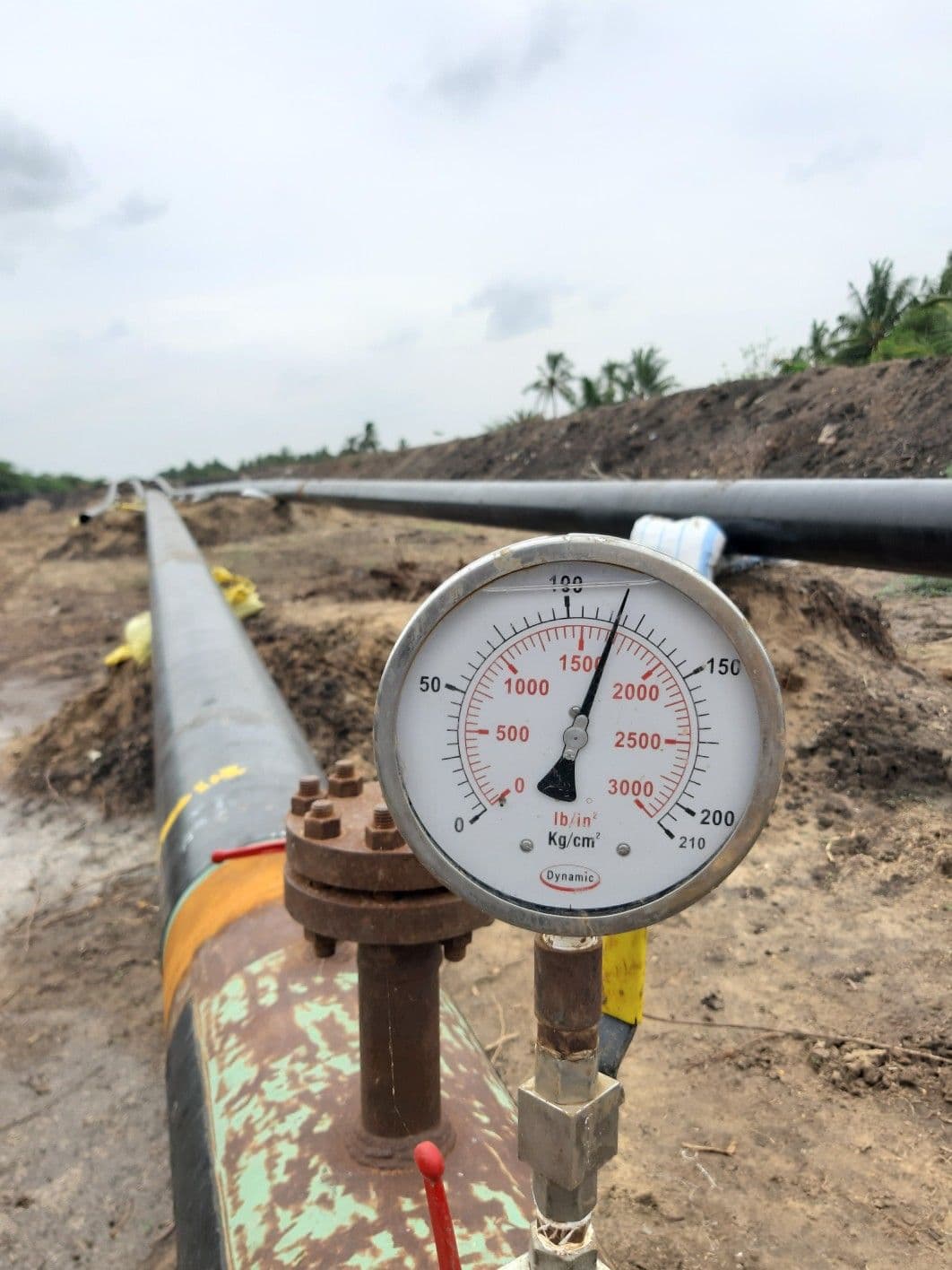 Pressure Gauges